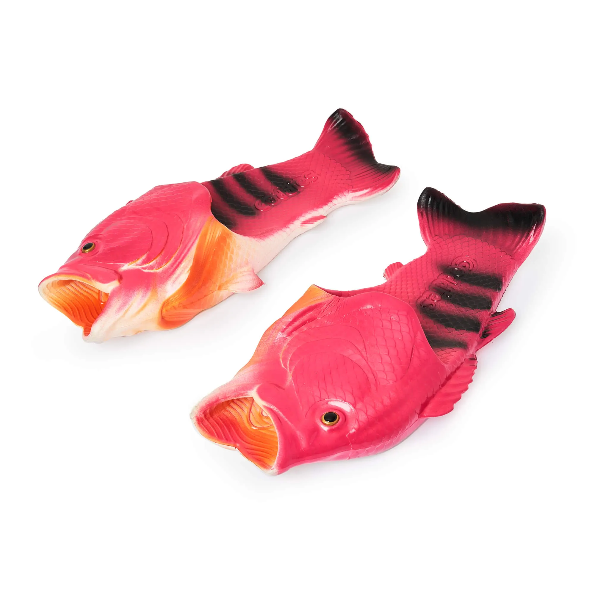 Coddies® Pearl Danio Flops